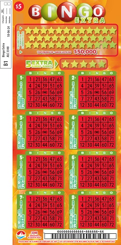 BINGO EXTRA