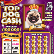 Top Dog Cash
